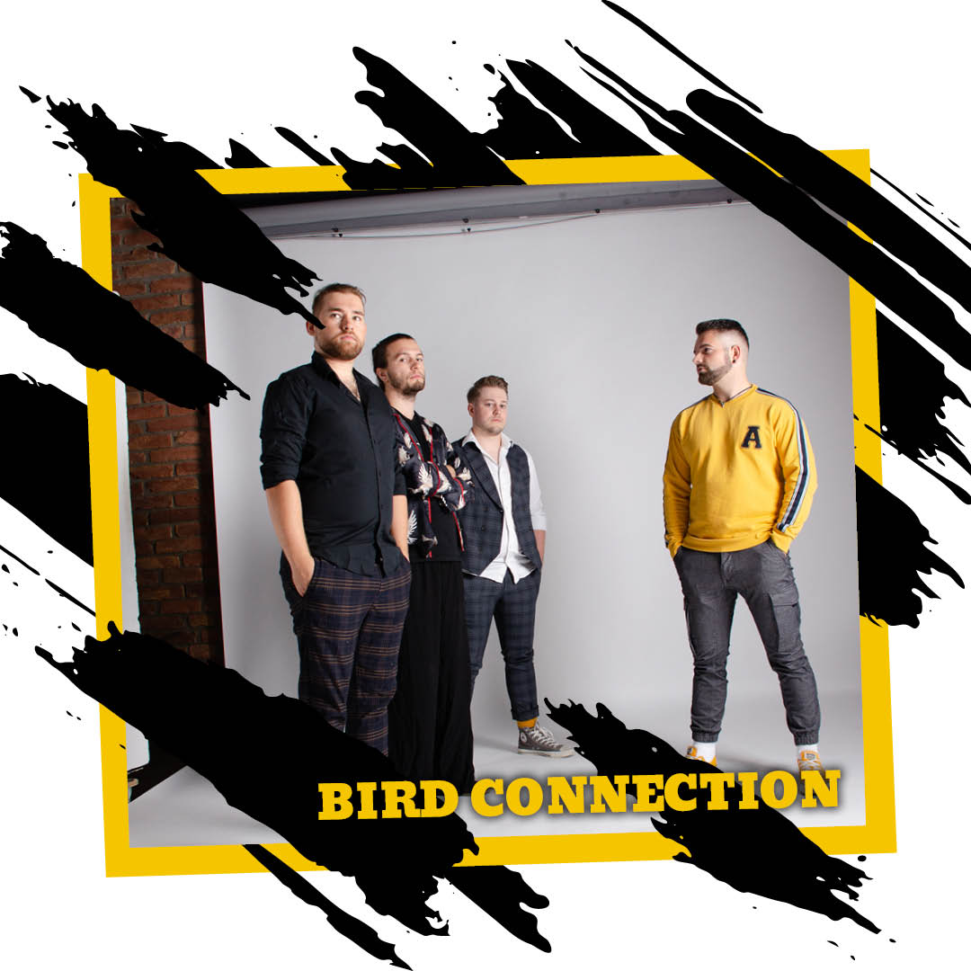 Website-Bird Connection