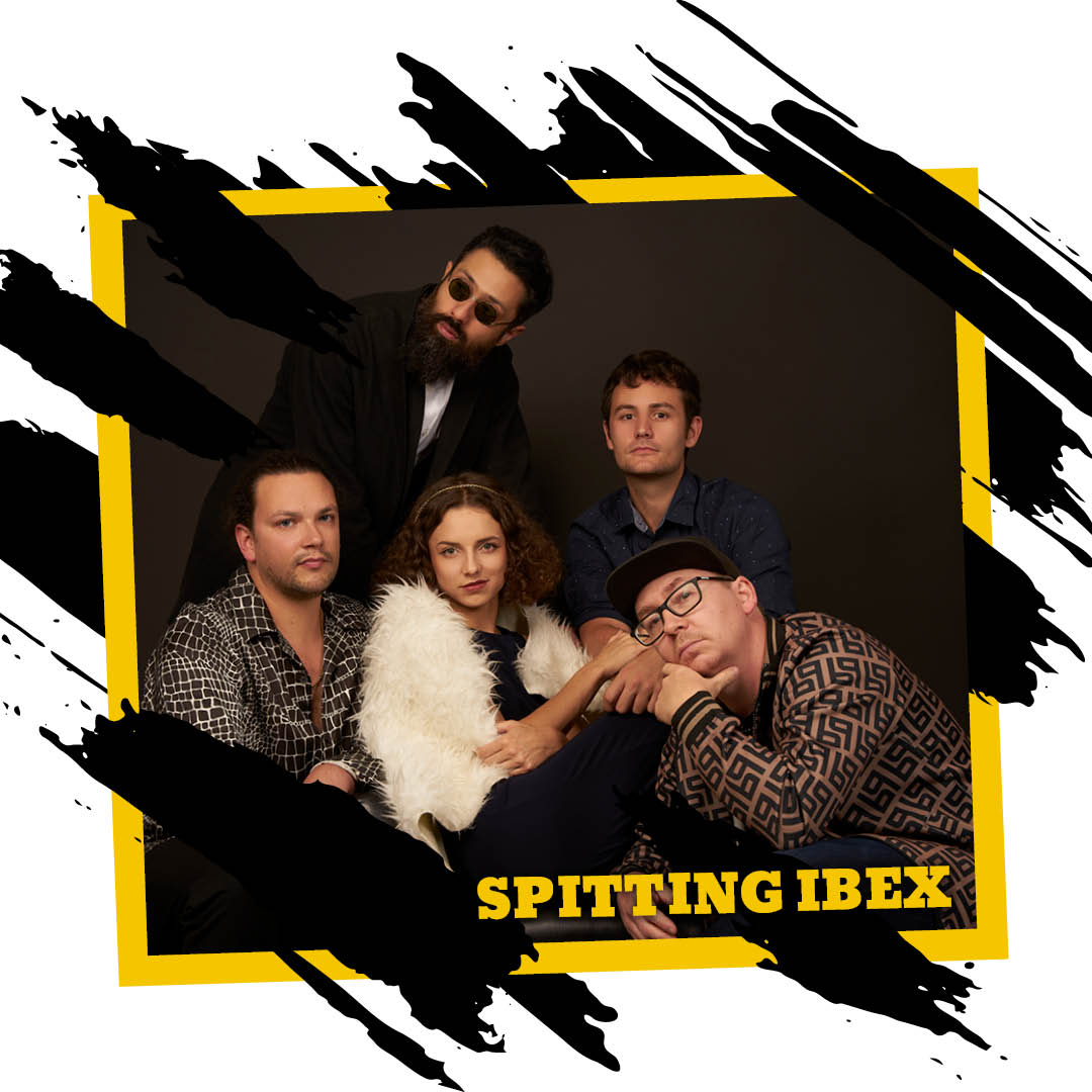 Website-Spitting Ibex