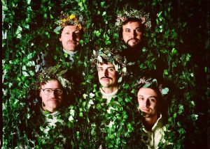 Gesangskapelle Hermann - Pflanzen