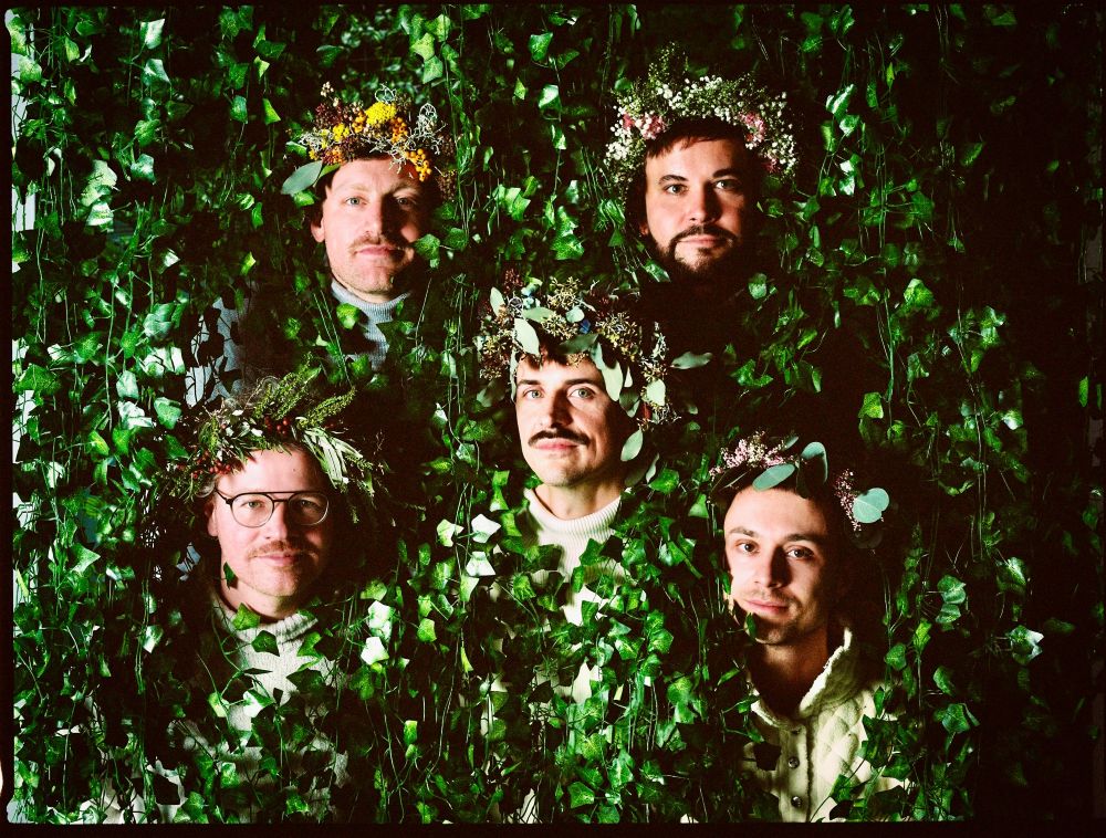 Gesangskapelle Hermann - Pflanzen